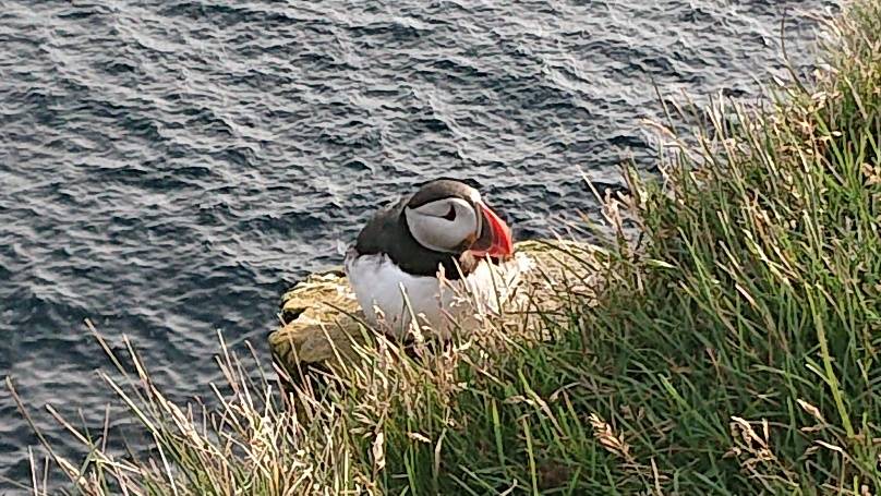 DSC_0594.jpg