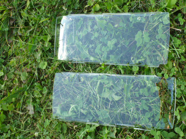 P1000352.JPG