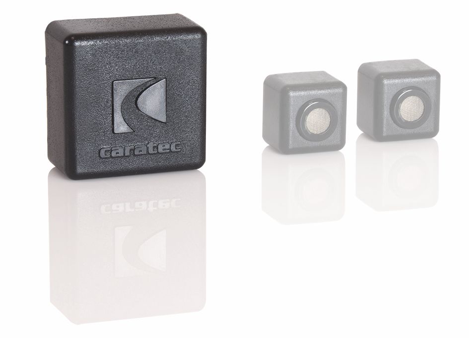 carcea100g_pic2.jpg