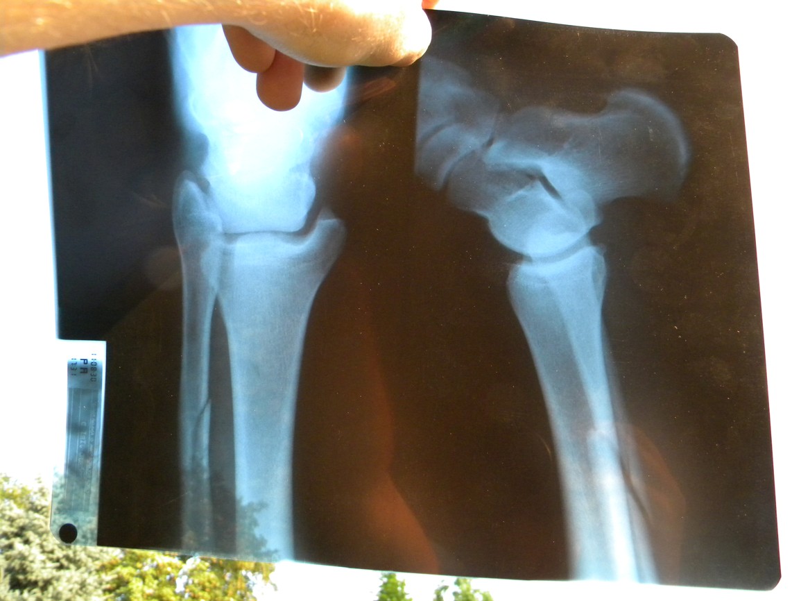 2011_08_31_07_46_07.JPG