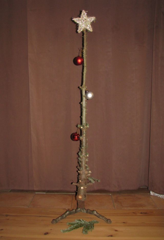 IMG_1348_sm.jpg