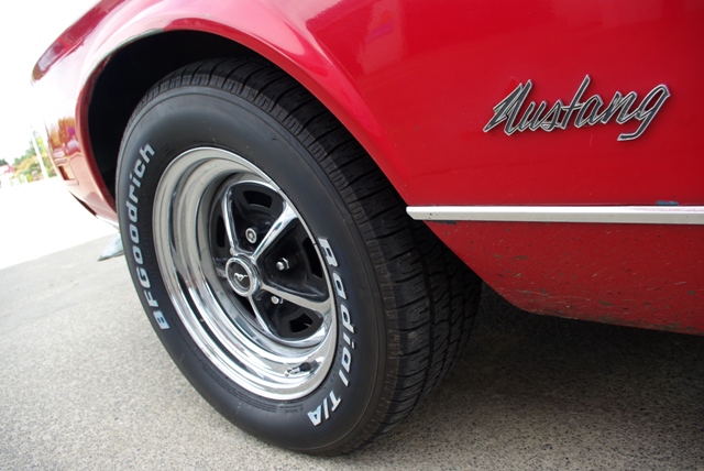 17_10.15. NZ - Aaronuv Mustang 2.JPG